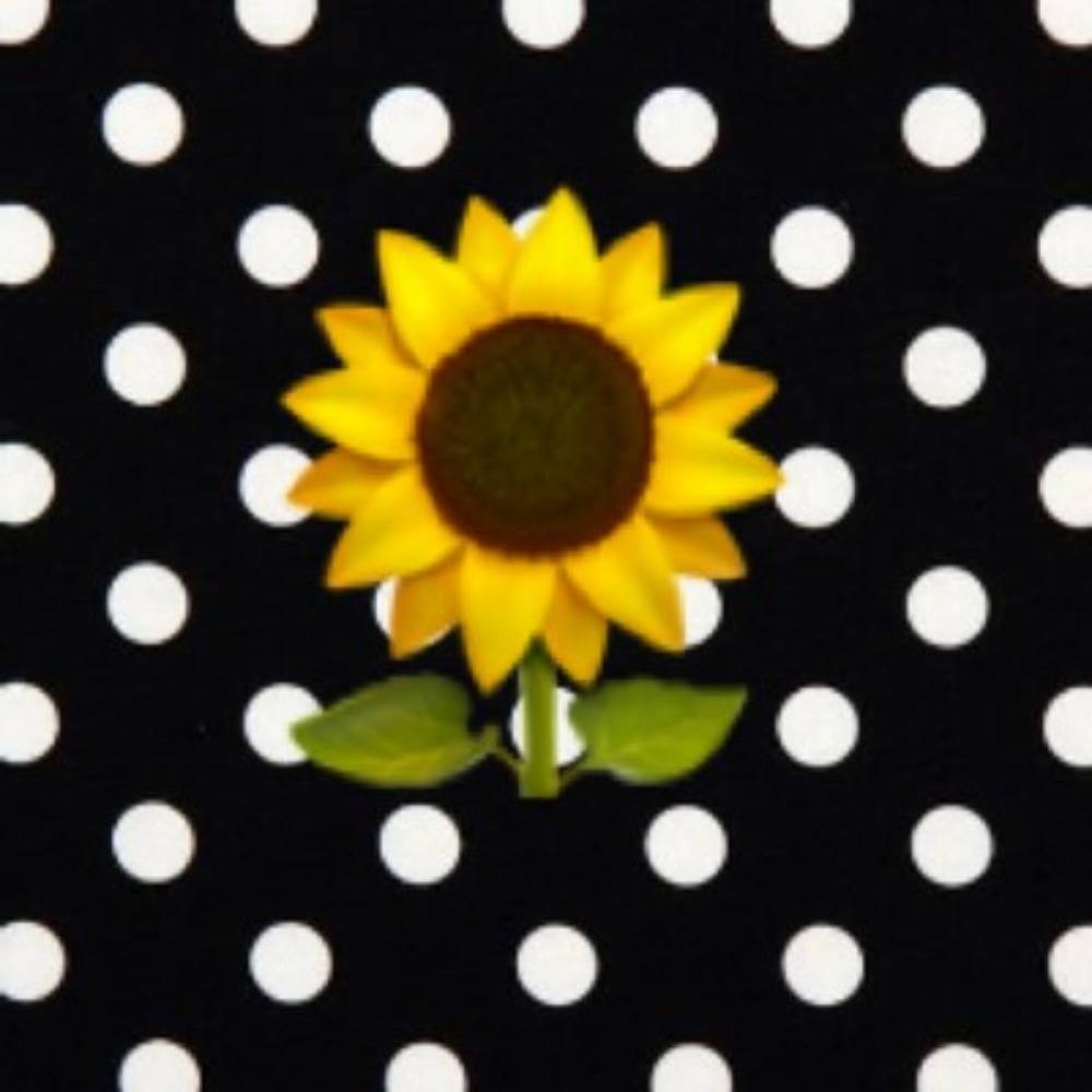 PolkaDotz & Runway Fashionz 🌻